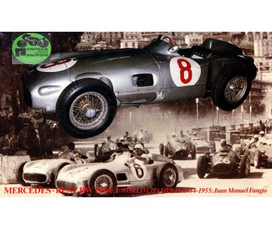 Mercedes-Benz W196 Formula 1 World Championship 1954/55 1/24 - Protar - 219
