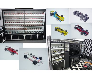 Collection sale 475 Formula 1 model cars in 1/20 scale